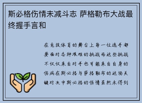 斯必格伤情未减斗志 萨格勒布大战最终握手言和