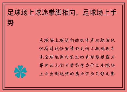 足球场上球迷拳脚相向，足球场上手势