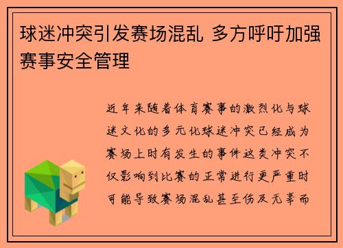 球迷冲突引发赛场混乱 多方呼吁加强赛事安全管理
